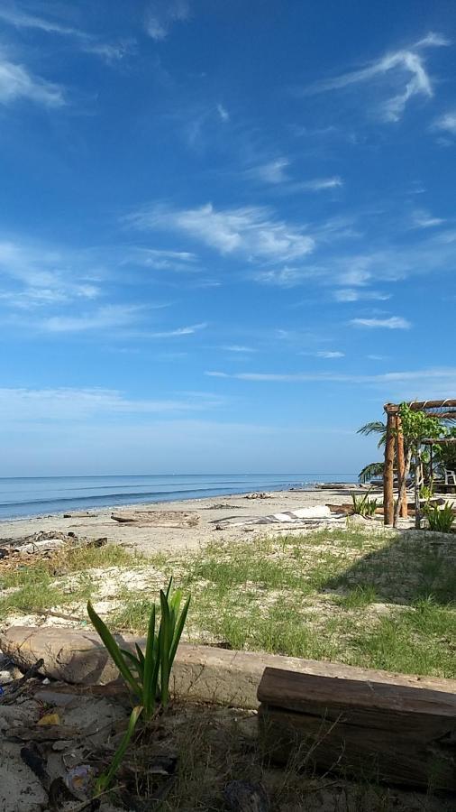 Urantia Beach Hostel & Camping San Onofre Exterior photo